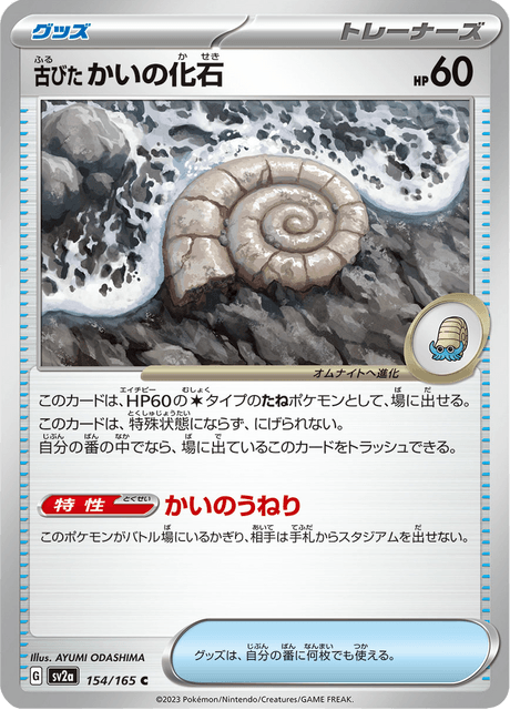 Antique Helix Fossil