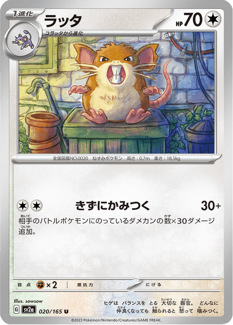Raticate