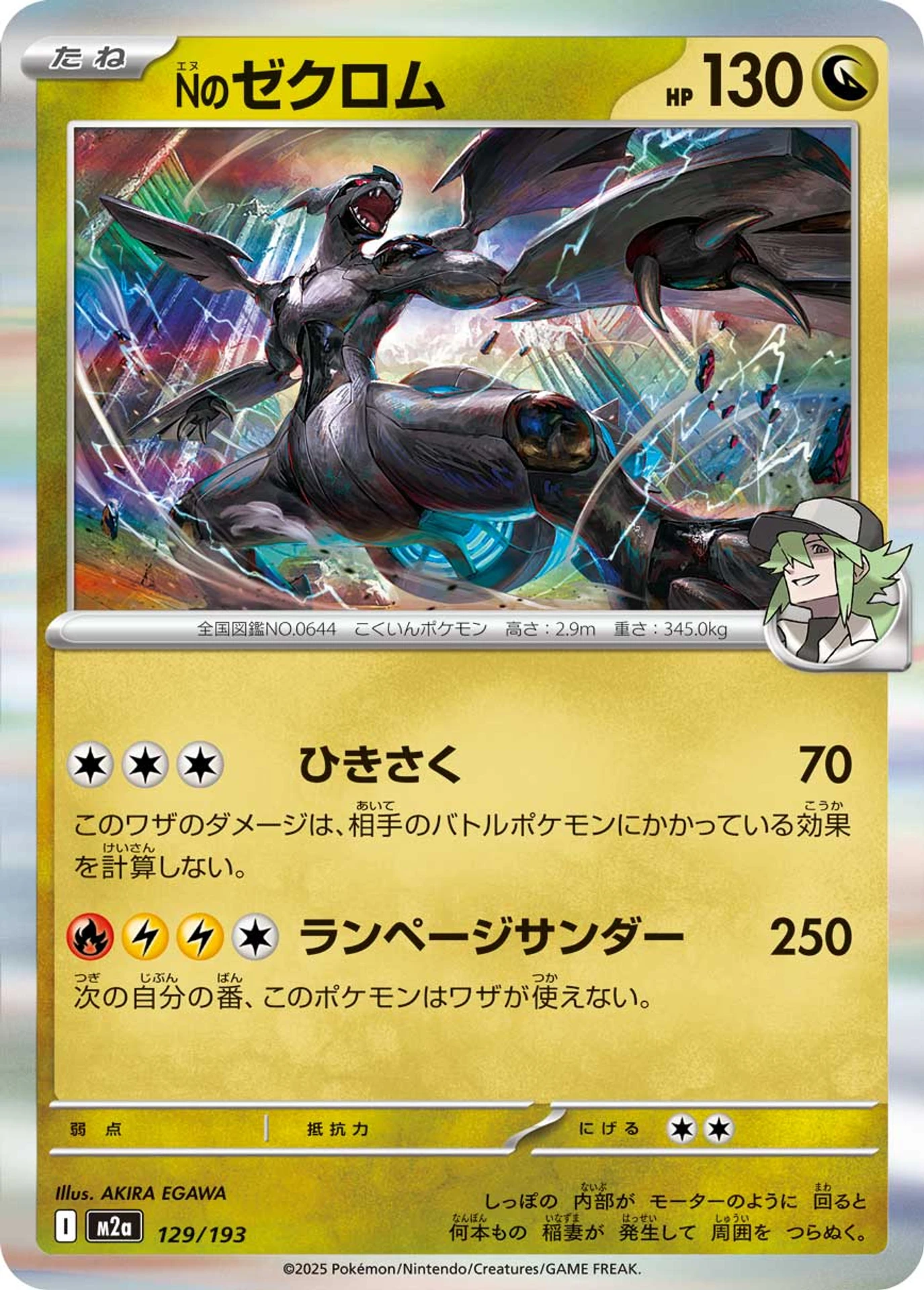 N's Zekrom