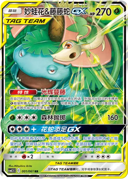 Venusaur & Snivy GX